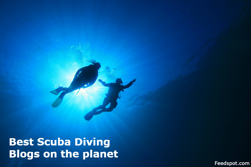 Top 25 Scuba Diving Blogs And sites For Divers Scuba Diving Blog