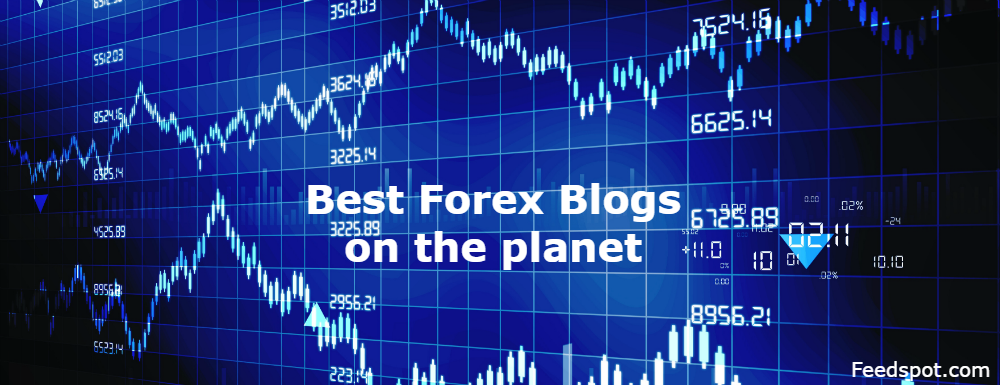 best forex trader blog