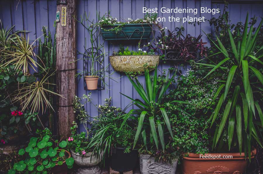 Top 100 Gardening Blogs Websites For Gardeners In 2020