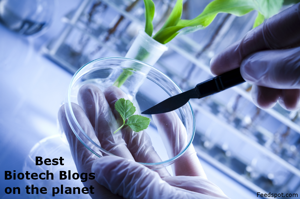 Top 20 Biotech Blogs Every Biologist Must Follow