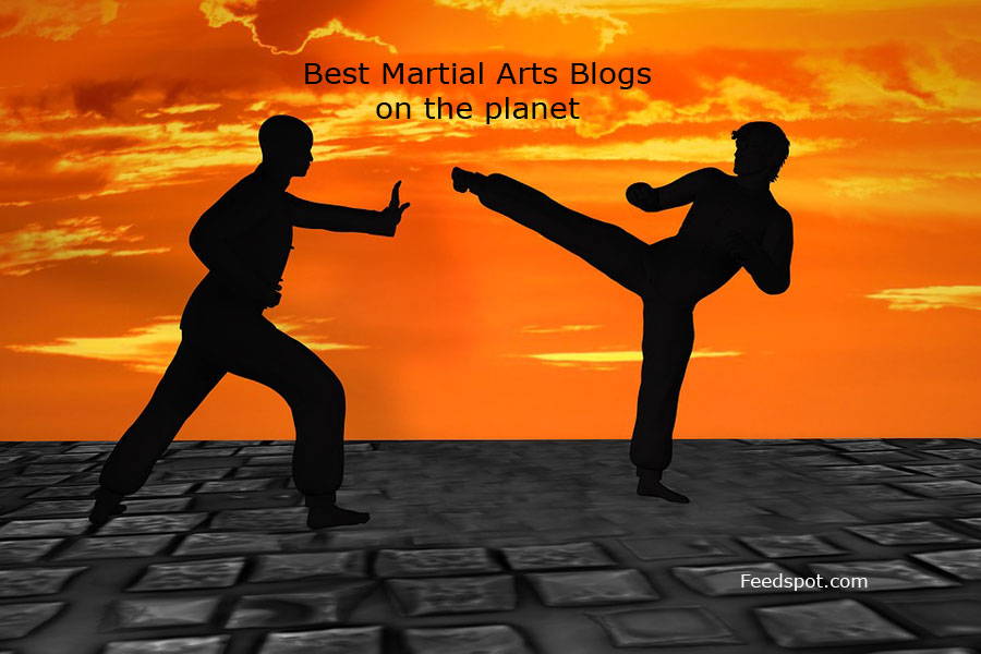 Top 40 Martial Arts Blogs, Websites & Influencers in 2021