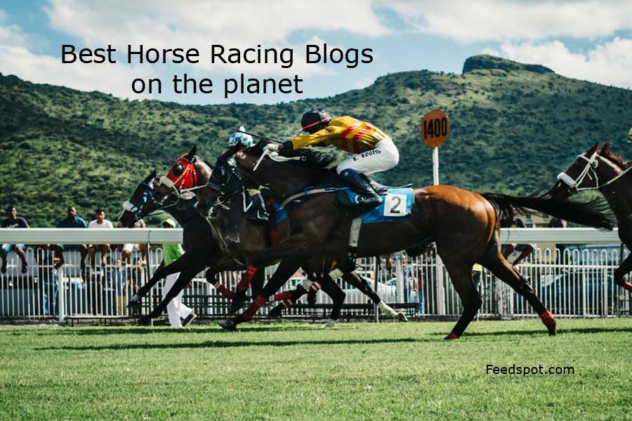 Horse Racing Blogs