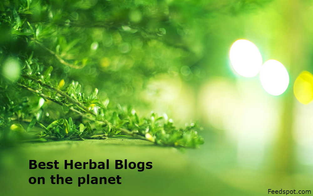 100 Best Herbal Blogs and Websites To Follow in 2023