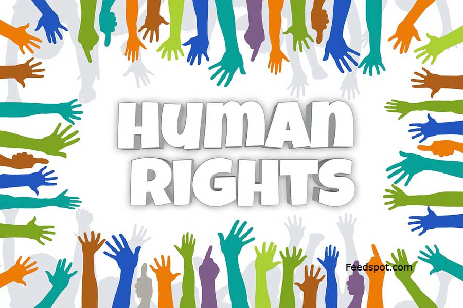Top 40 Human Rights Blogs And Websites On The Web Human - 