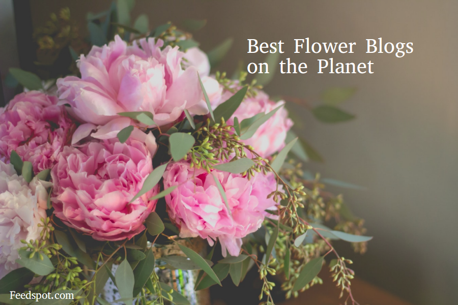 Top 100 Flower Blogs And Websites To Follow In 2021