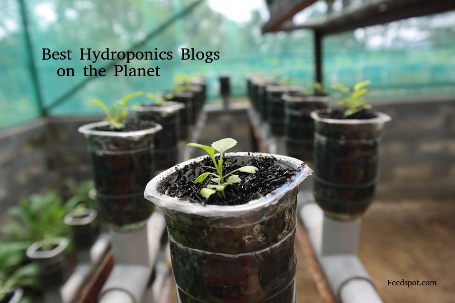 Top 50 Hydroponics Blogs Websites For Hydroponics Professionals