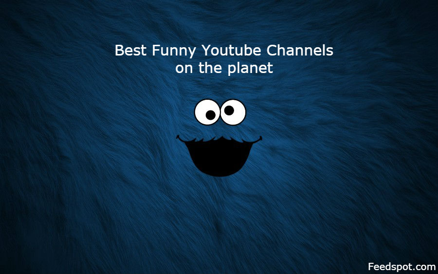 You Funny Videos