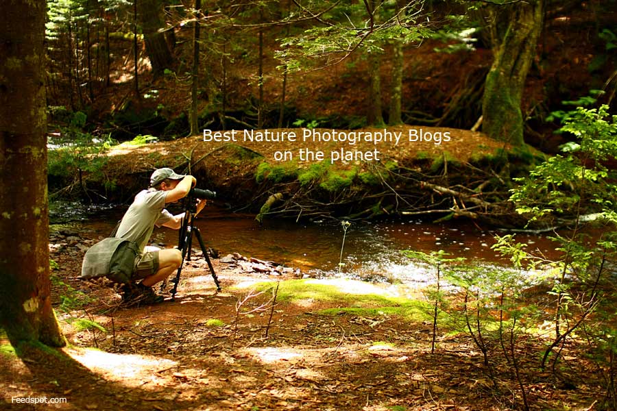  Top  100 Nature  Photography  Blogs Websites in 2020 