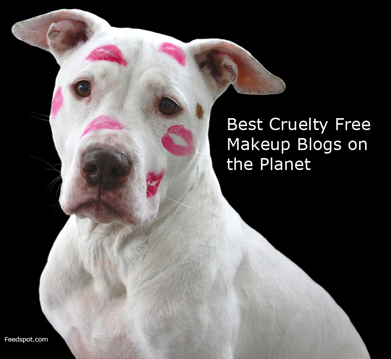 Top 50 Cruelty Free Makeup Blogs In 2020 Cruelty Free Beauty Blog
