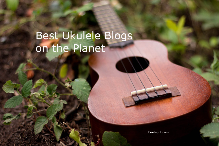 60 Best Ukulele Blogs and To Follow