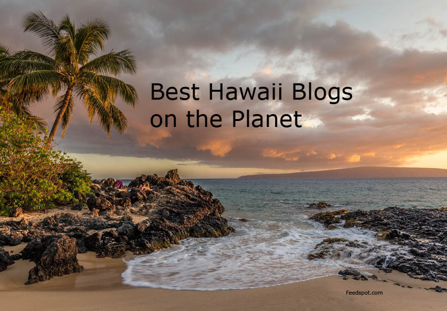 Top 60 Hawaii  Blogs  and Websites To Follow in 2022