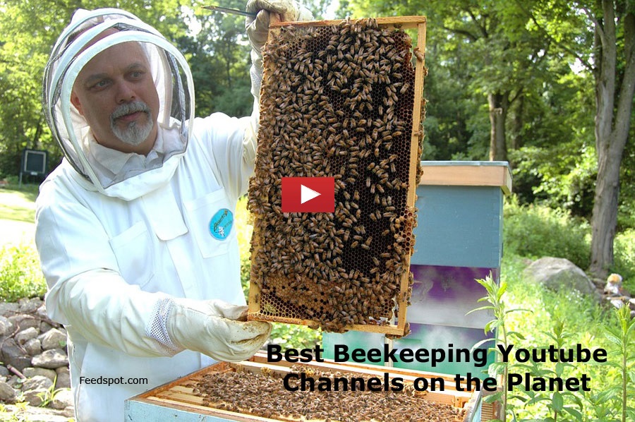 45 Beekeeping Youtube Channels For Beekeepers