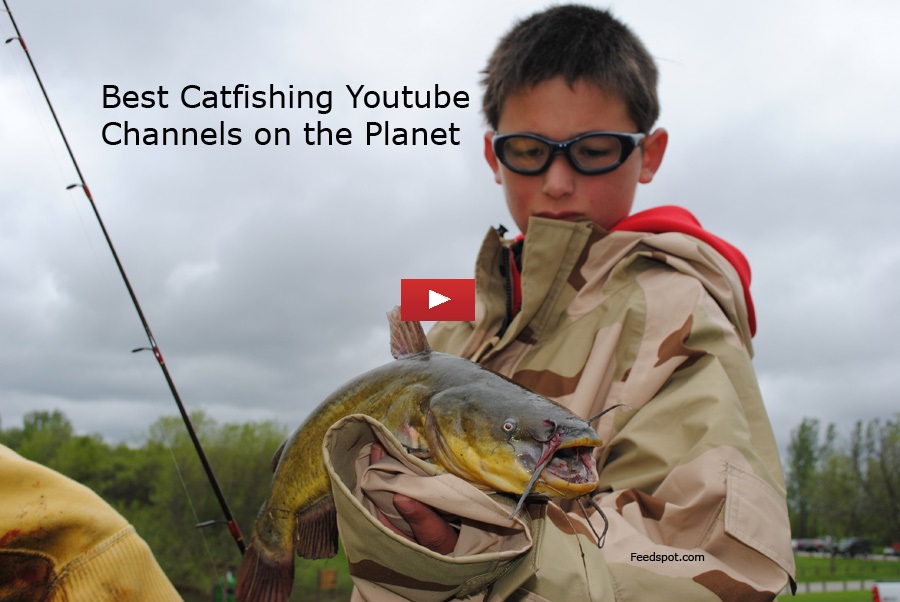 catfishing on the catnet
