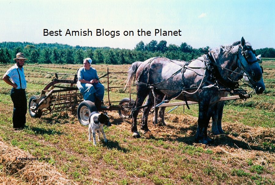 Amish Dating Website