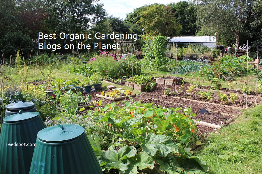 80 Best Organic Gardening Blogs and Websites in 2023