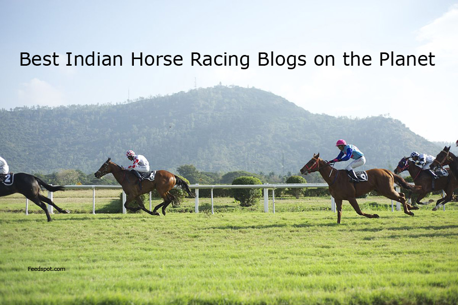 Horse Racing Blog
