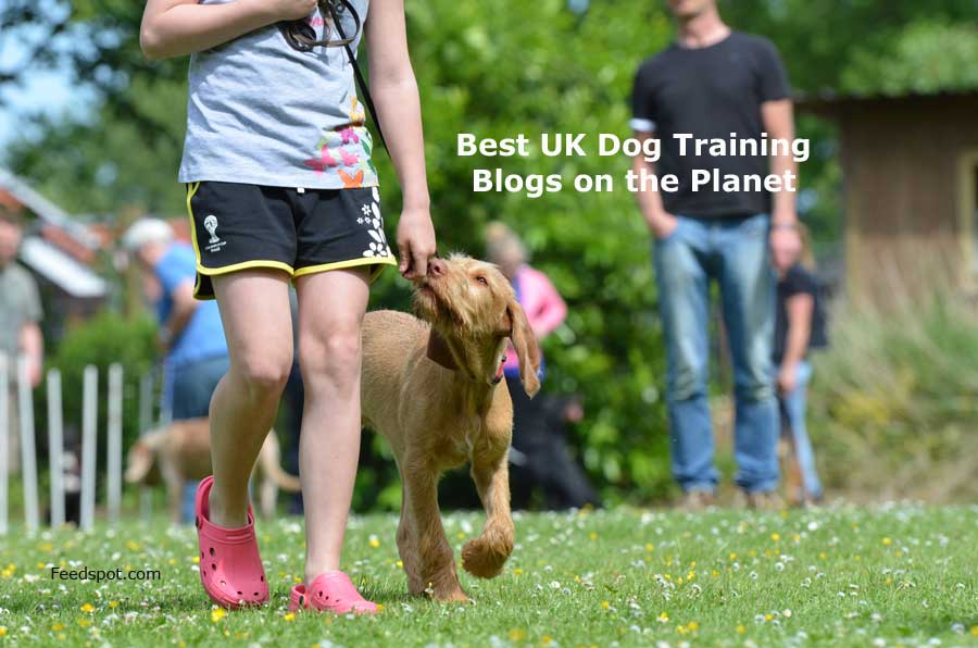 Top 15 UK Dog Training Blogs and Websites in 2021