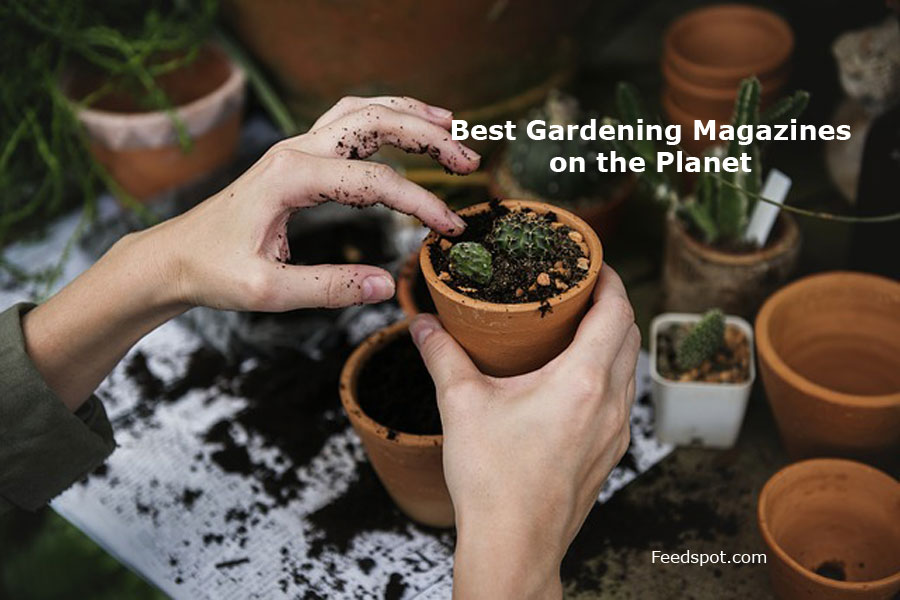 Top 10 Gardening Magazines Publications To Follow In 2020