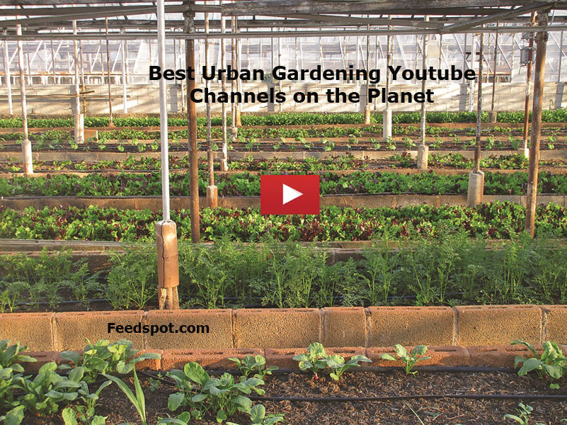 15 Urban Gardening Youtube Channels To Follow In 2020