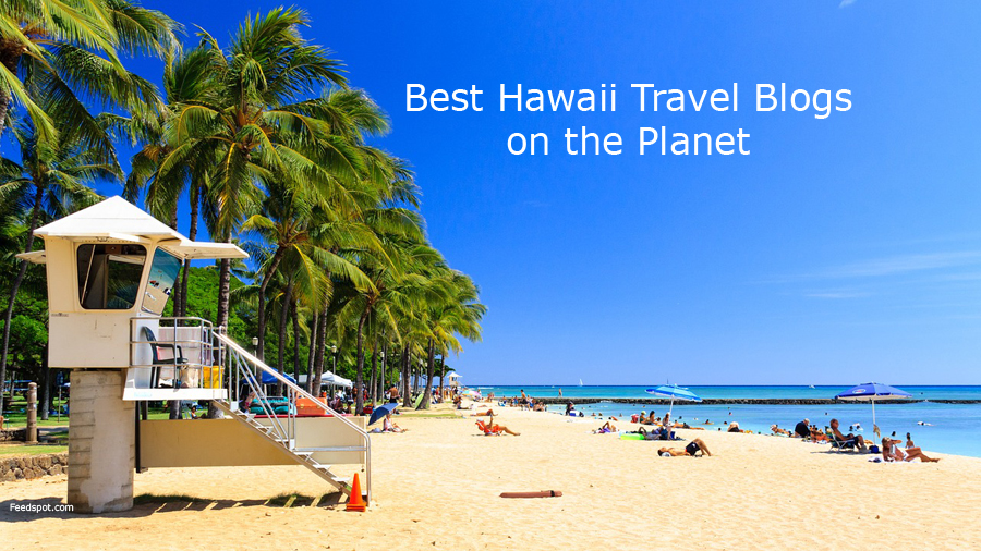 Top 15 Hawaii  Travel Blogs  Websites To Follow in 2022