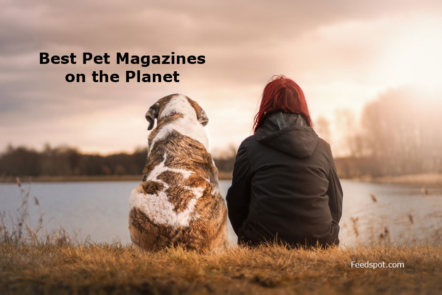 Top 15 Pet Magazines & Publications To Follow in 2023